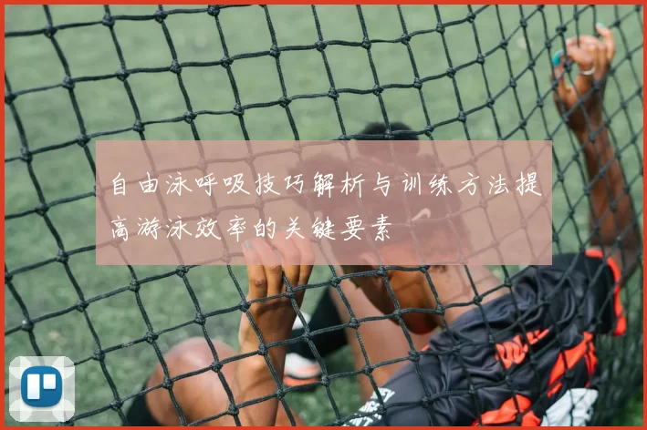 自由泳呼吸技巧解析与训练方法提高游泳效率的关键要素