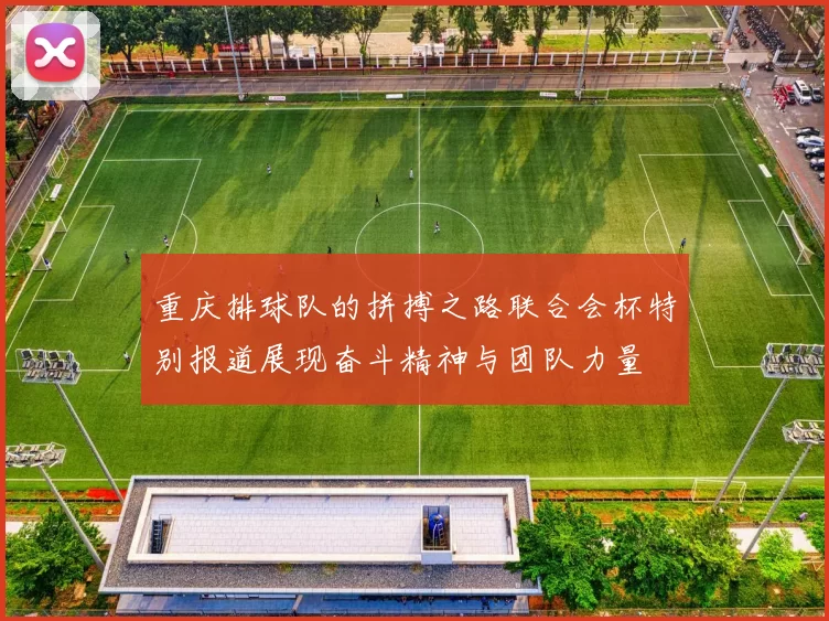 重庆排球队的拼搏之路联合会杯特别报道展现奋斗精神与团队力量
