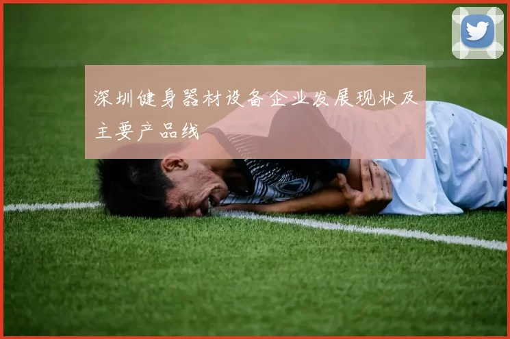 深圳健身器材设备企业发展现状及主要产品线