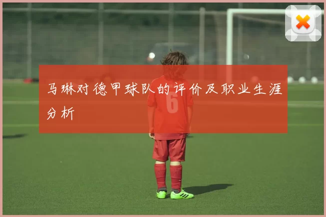 马琳对德甲球队的评价及职业生涯分析