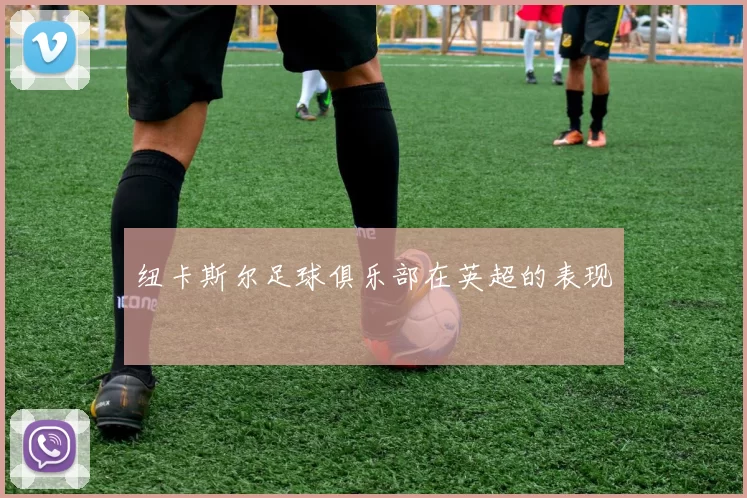 纽卡斯尔足球俱乐部在英超的表现