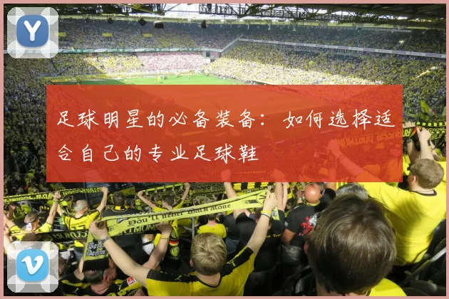 足球明星的必备装备：如何选择适合自己的专业足球鞋