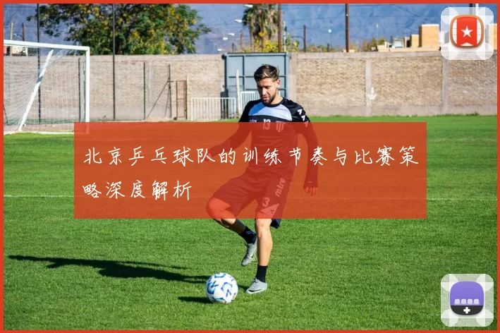 北京乒乓球队的训练节奏与比赛策略深度解析