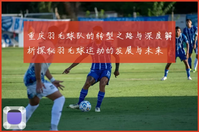 重庆羽毛球队的转型之路与深度解析探秘羽毛球运动的发展与未来
