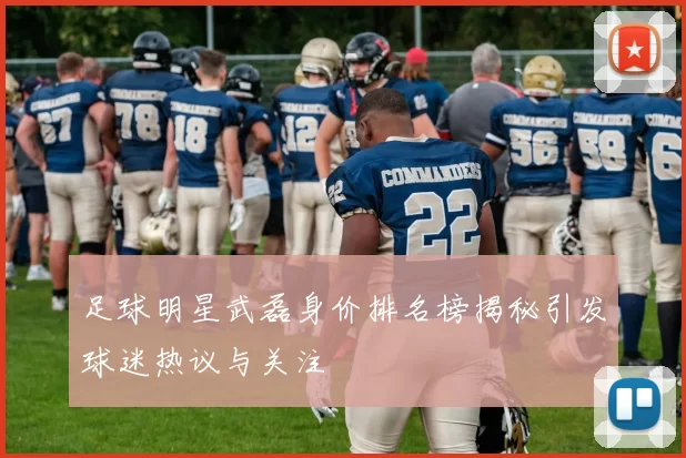 足球明星武磊身价排名榜揭秘引发球迷热议与关注