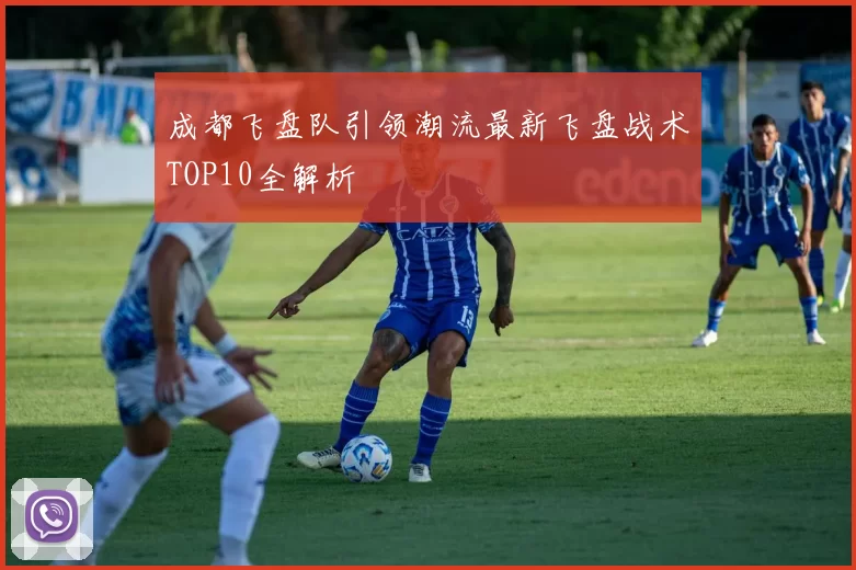 成都飞盘队引领潮流最新飞盘战术TOP10全解析