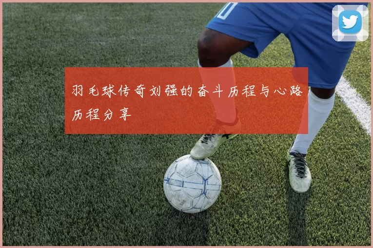 羽毛球传奇刘强的奋斗历程与心路历程分享