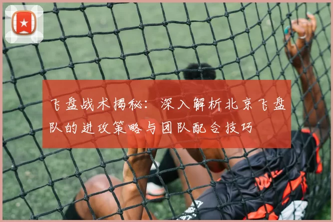 飞盘战术揭秘：深入解析北京飞盘队的进攻策略与团队配合技巧