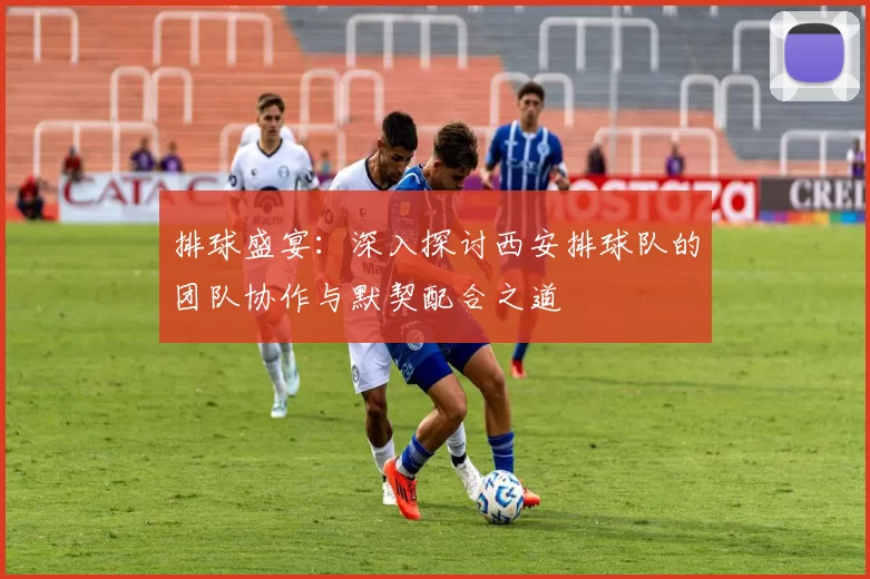 排球盛宴：深入探讨西安排球队的团队协作与默契配合之道